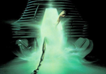 The Fly